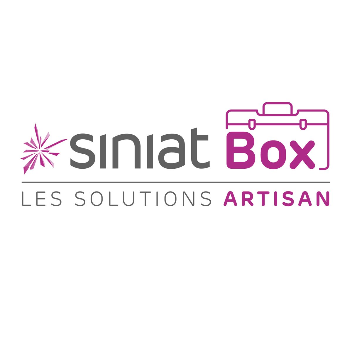 Siniat Box, les solutions Artisan