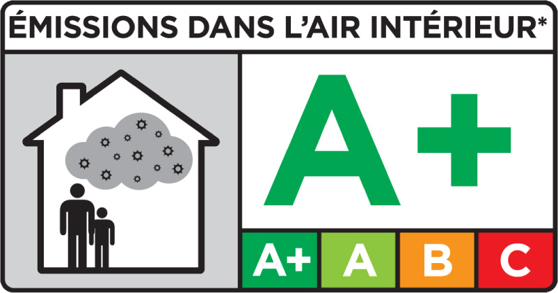 La qualité de l'air, un enjeu de santé important